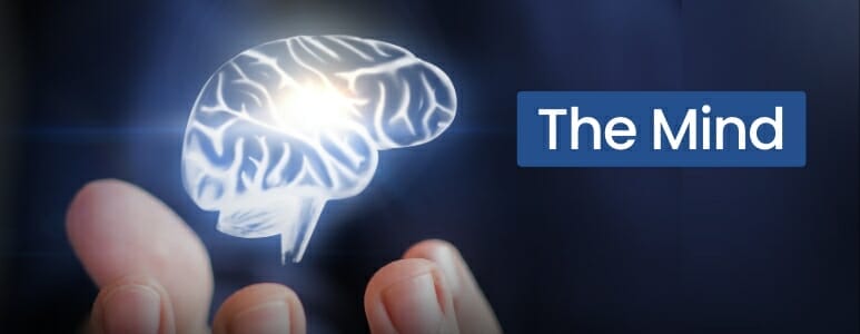 Does the Unconscious Mind Process Negatives? - Mike Mandel Hypnosis Blog Image 01 Artistic Representation Of A Brain