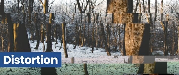 Distorted Forest
